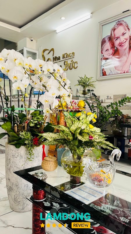 Nha Khoa Việt Đức Hải Thượng – phòng khám