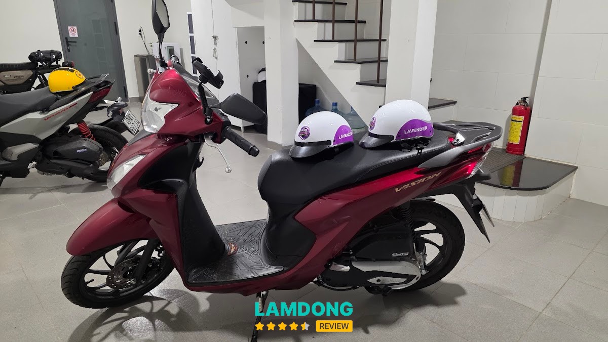 Thuê xe máy đà lạt lavender – giao xe nhanh