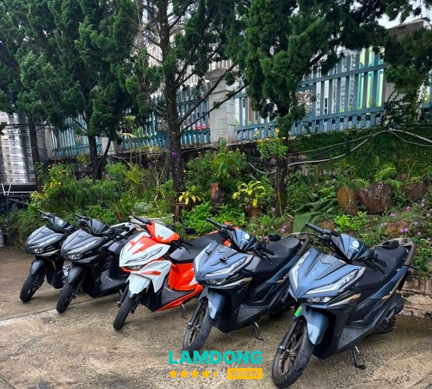 DV Cho Thuê Xe Máy QT Đà Lạt – Nguyễn Trung Trực