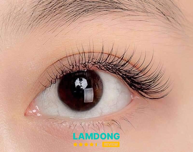 PHUN XĂM PHỤNG NGUYỄN Đà Lạt – Mê Linh