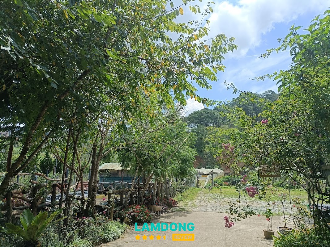 Lalaland Homestay – không gian chung