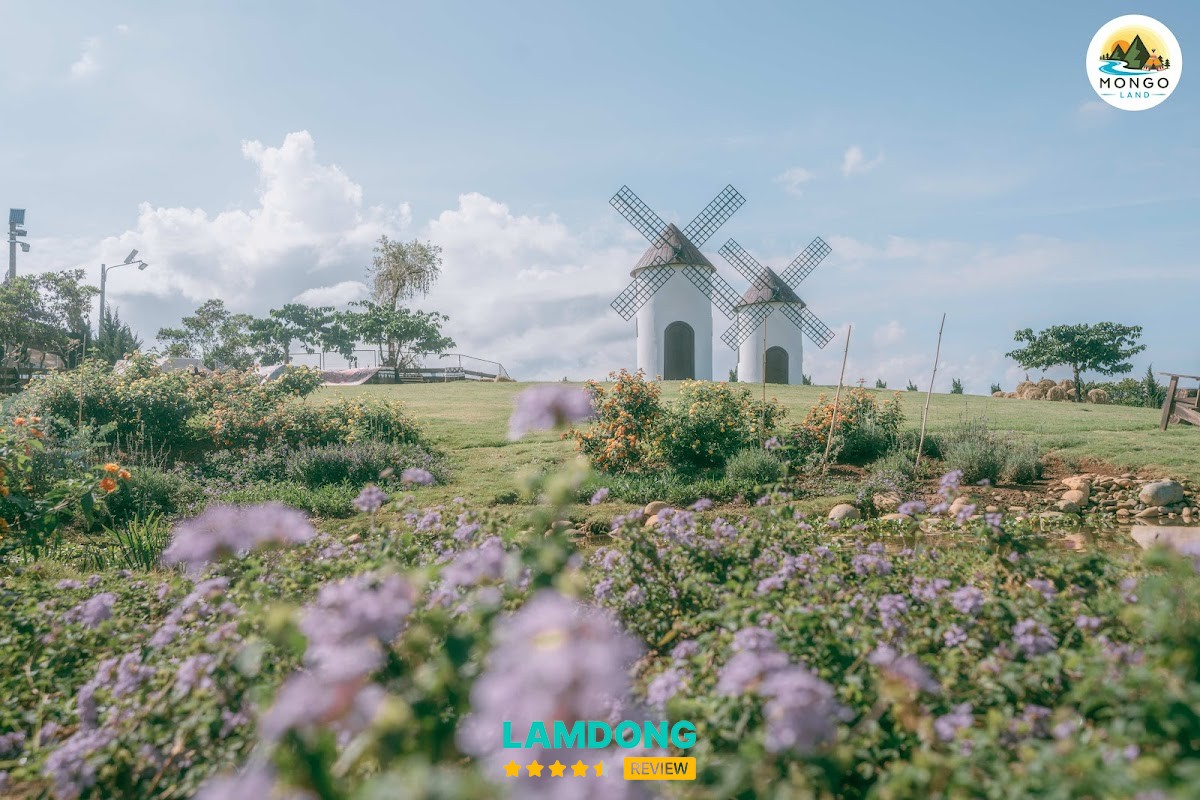 Mongo Land - Đà Lạt – Tà Nung, Cam Ly