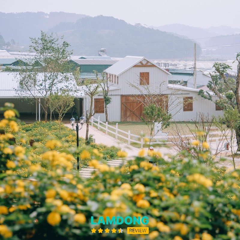 Nông Trại Cún Puppy Farm – Cam Ly, Măng Lin