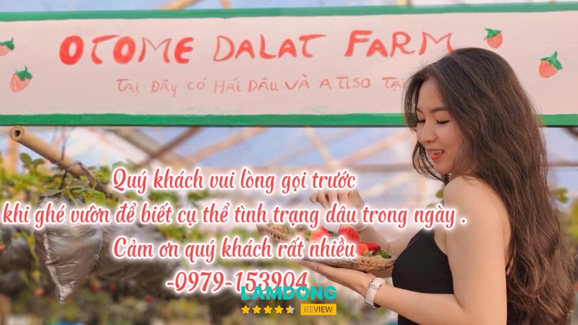Vườn dâu và Atiso Otome Farm Đà Lạt – An Sơn