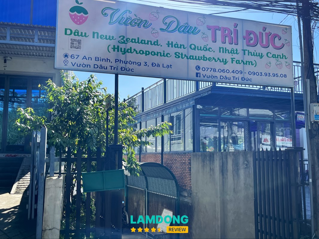 Vườn Dâu Trí Đức – An Bình Đà Lạt