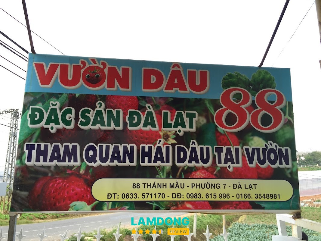 Vườn dâu 88 – Thánh Mẫu Đà Lạt