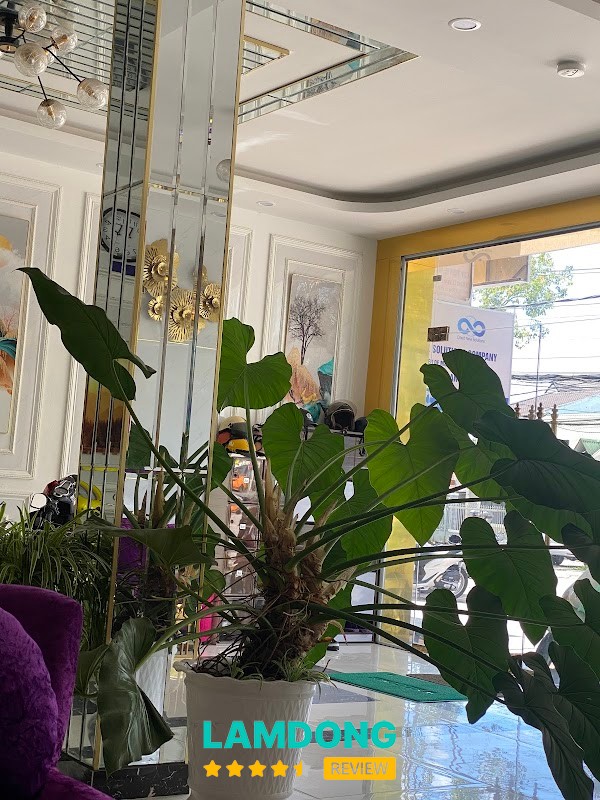 Thẩm Mỹ Vin Spa Đà Lạt – không gian spa