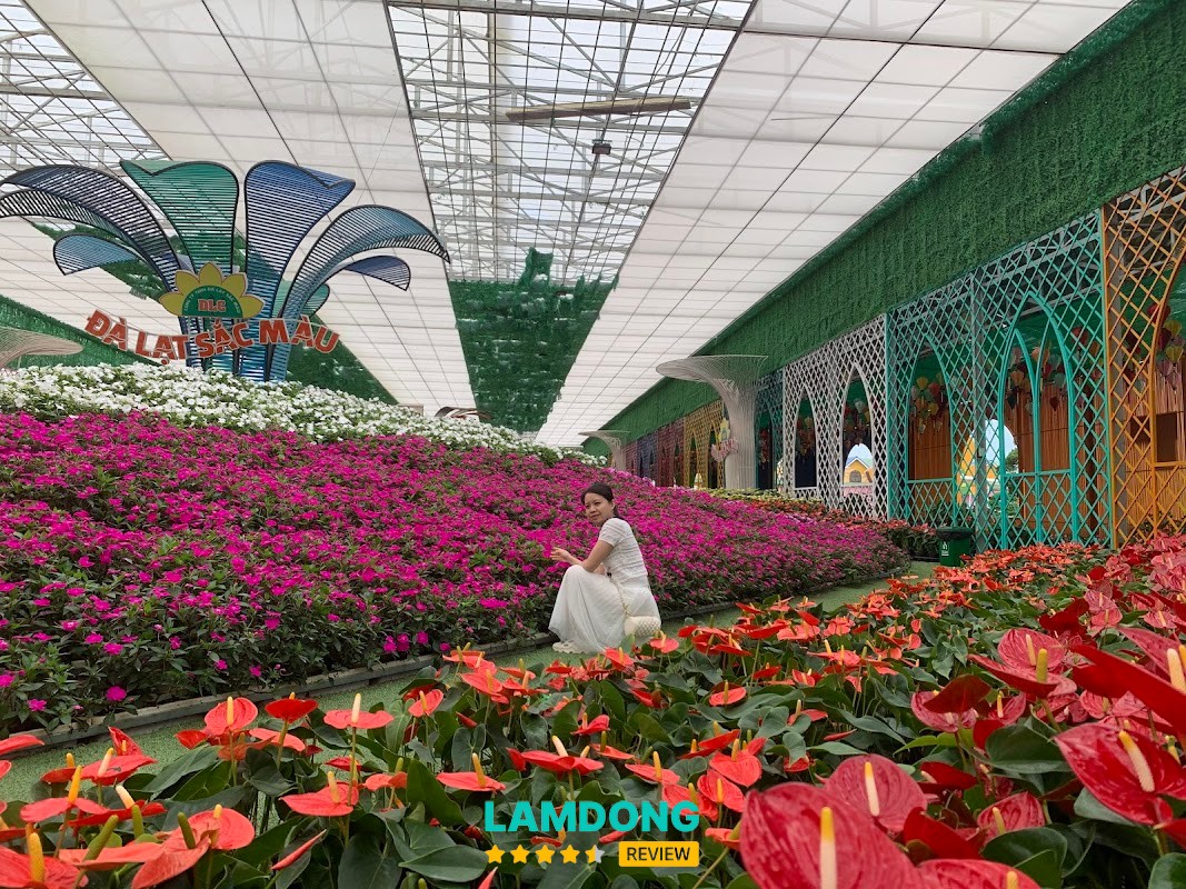 Làng hoa Vạn Thành – góc chụp hoa