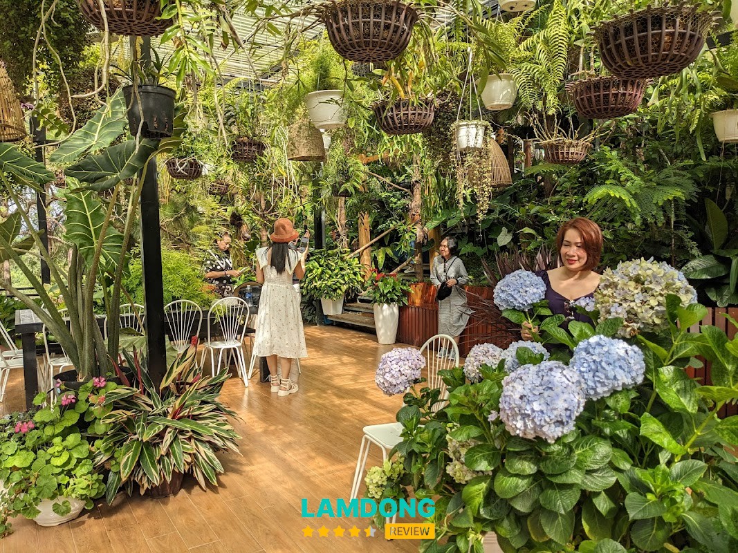 Cao Nguyên Hoa Đà Lạt – điểm chụp ảnh