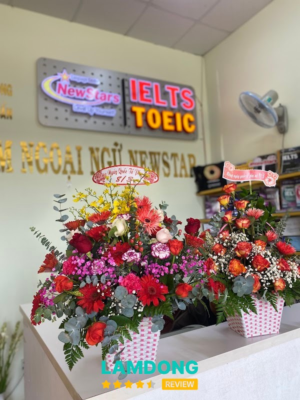 TRUNG TÂM NGOẠI NGỮ NEWSTAR – môi trường học ngoại ngữ