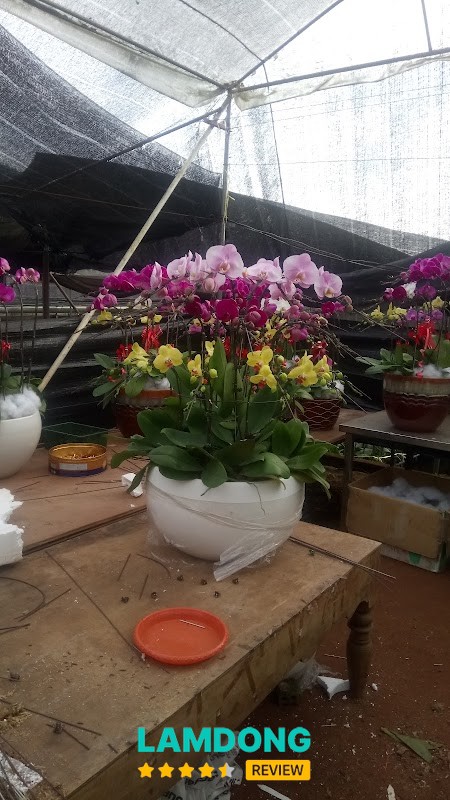 Phòng Khám - Bs Hiếu – khu vực khám bệnh