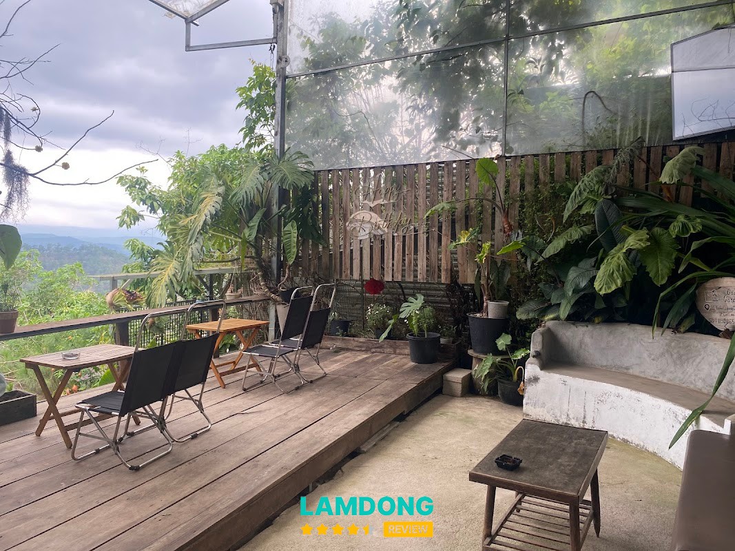 Cafe 24h GâuGarden – không gian có cún và cây xanh